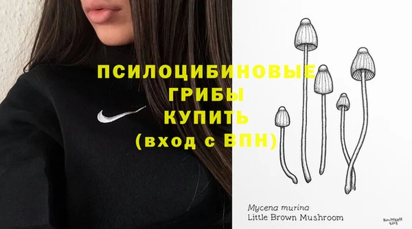 МДПВ Арсеньев